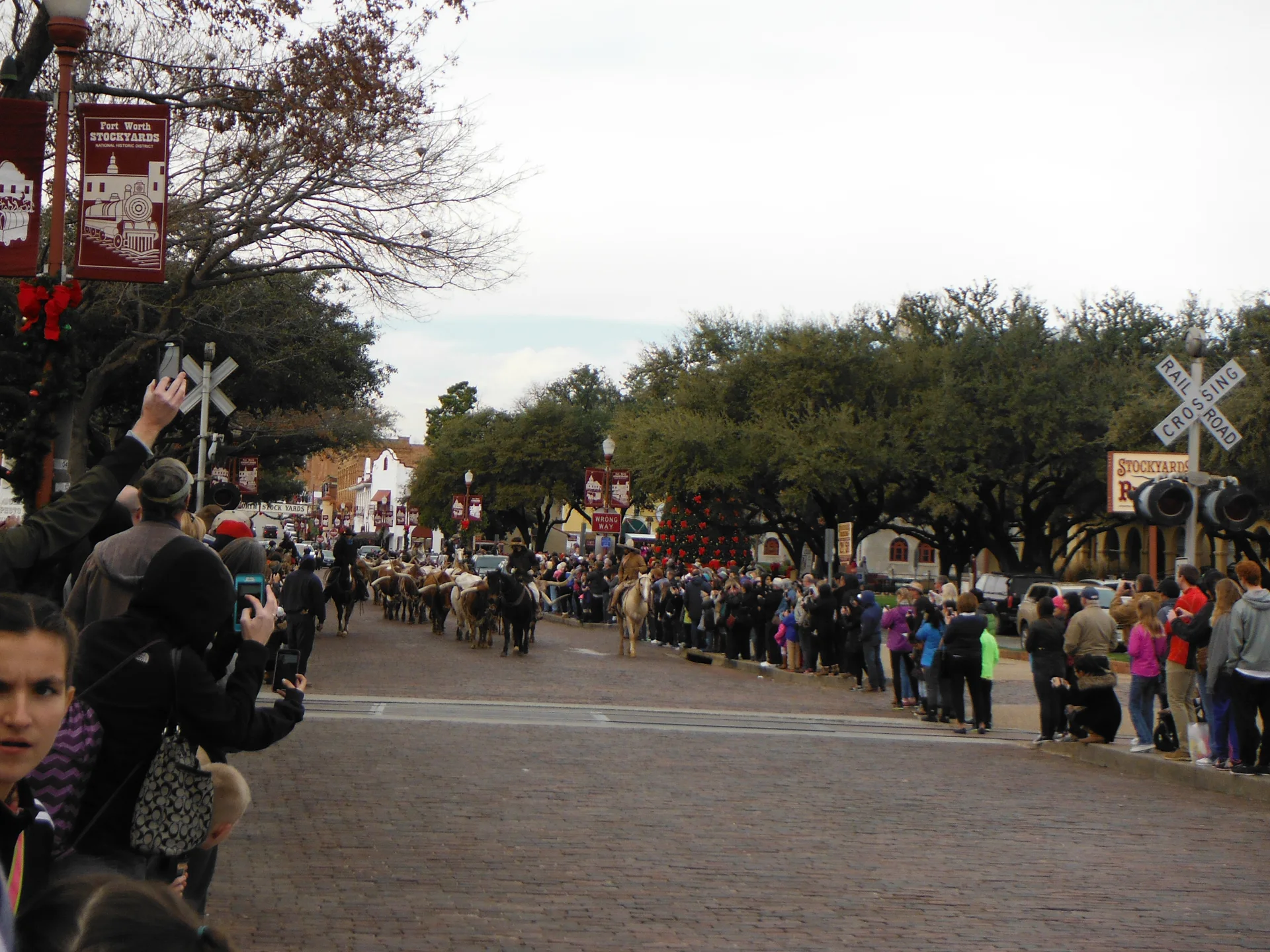 Fort Worth's historic Stockyards